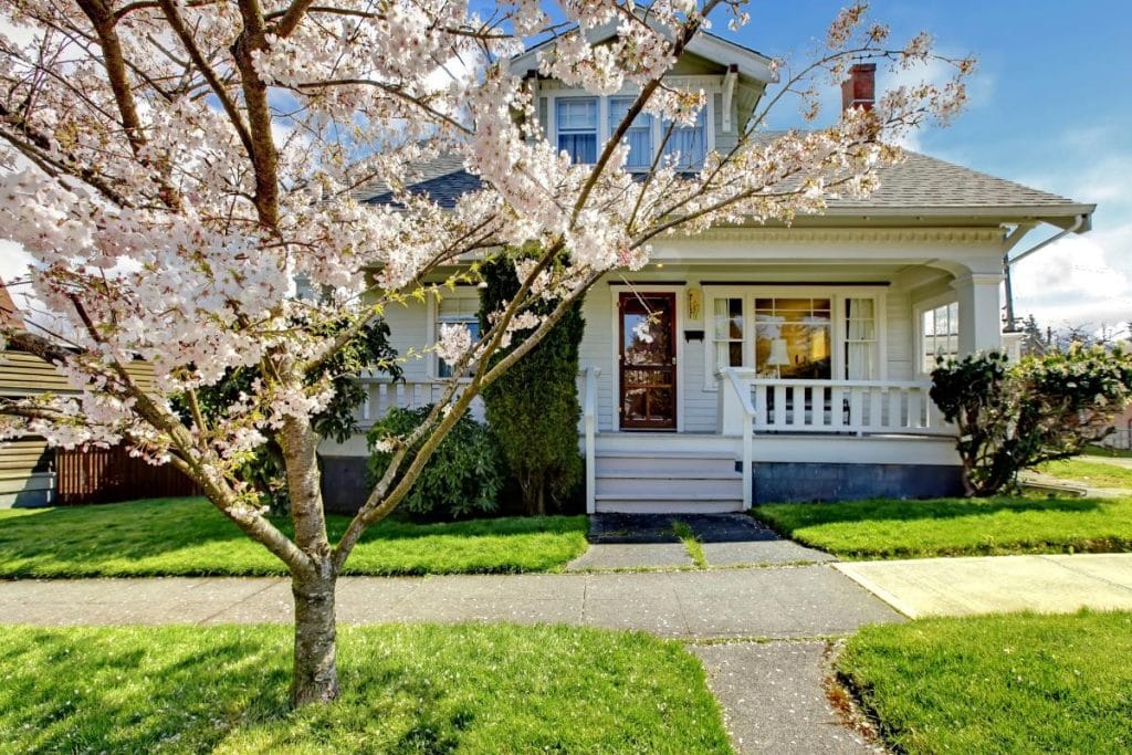 small white house with a blossoming cherry tree in front