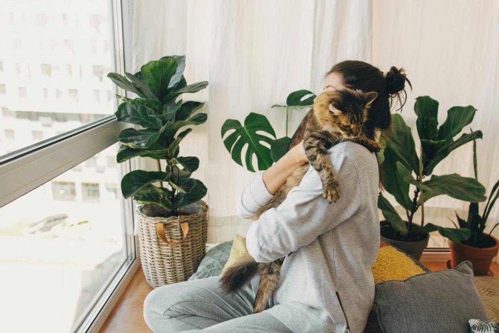 woman holding cat and looking out window