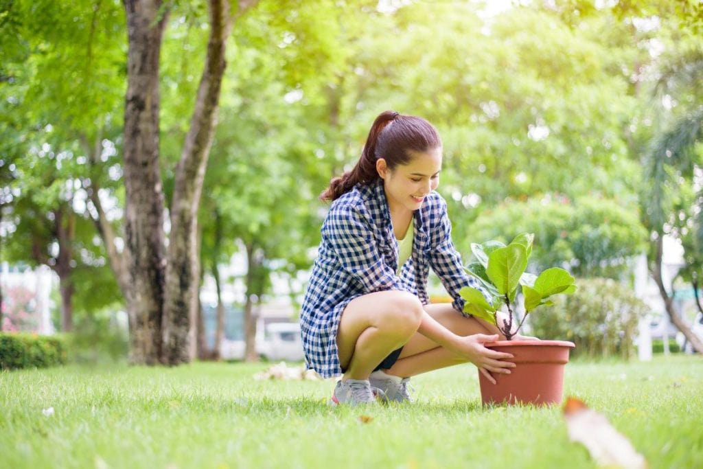 woman planting a tree