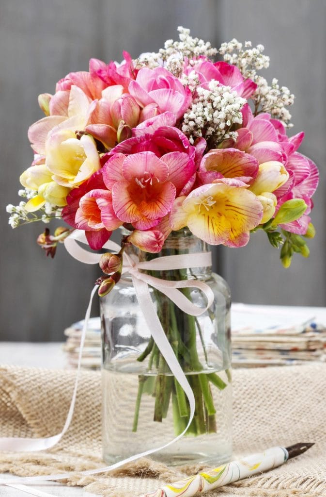 freesia flowers in a vase