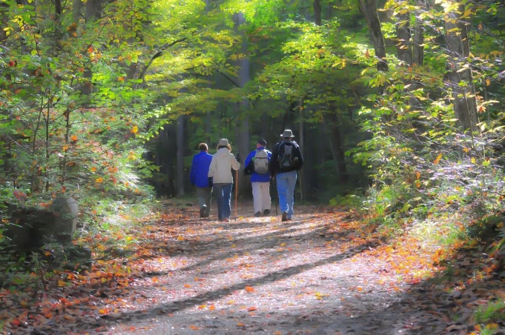 a group of 4 people hiking in the smoky mountains