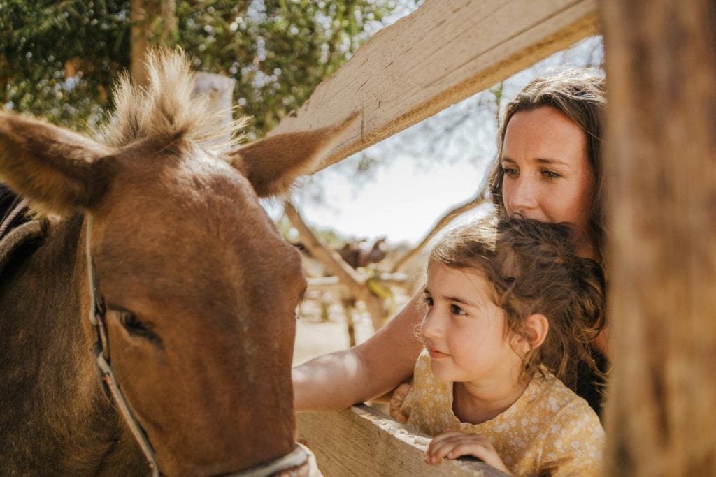 mother and daughter petting a donkey