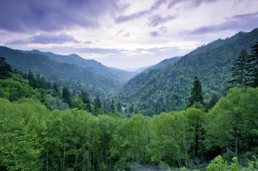 scenic view of smoky mountains