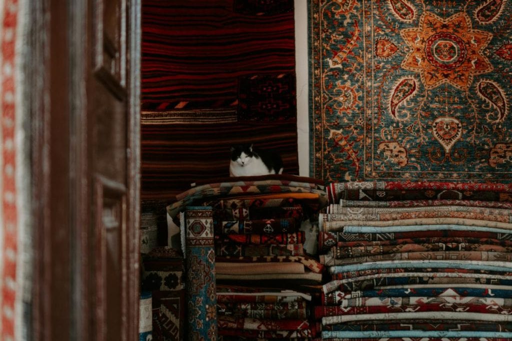 cat sitting on collection of rugs