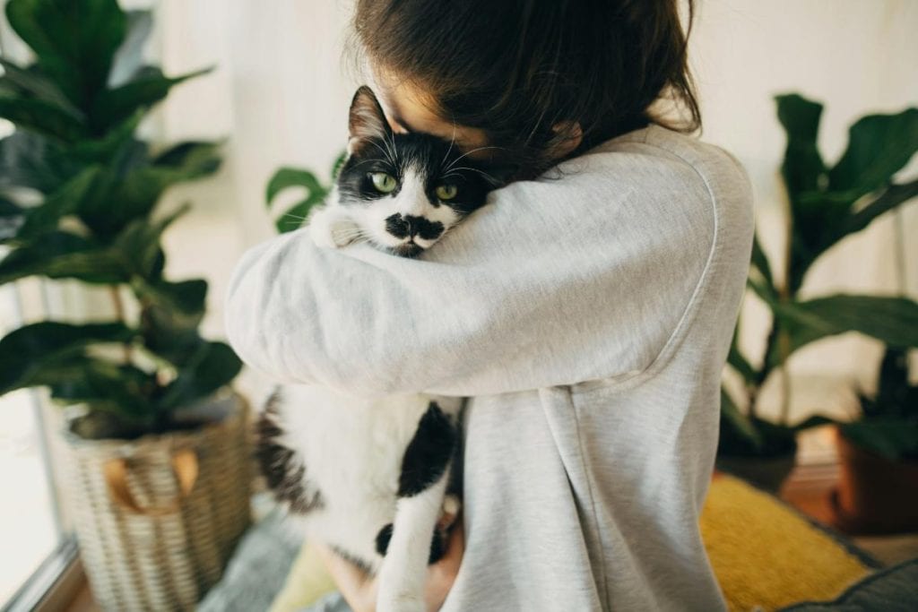 girl hugging black and white cat