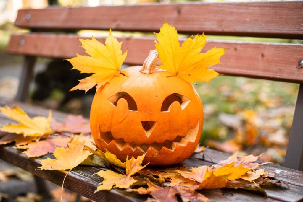 jack-o-lantern with leaves