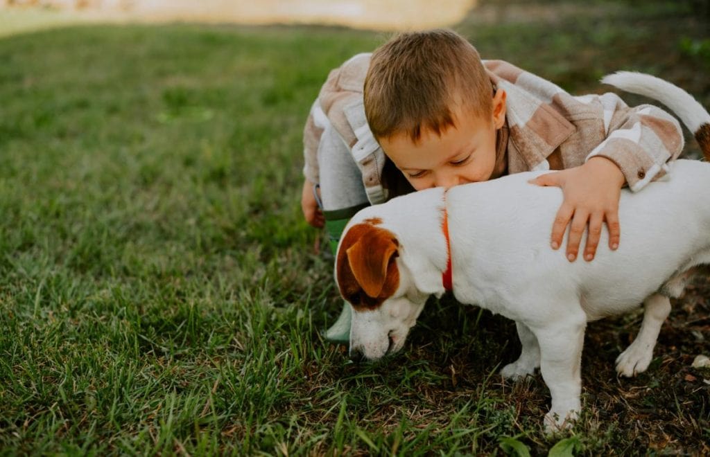 little boy kissing dog