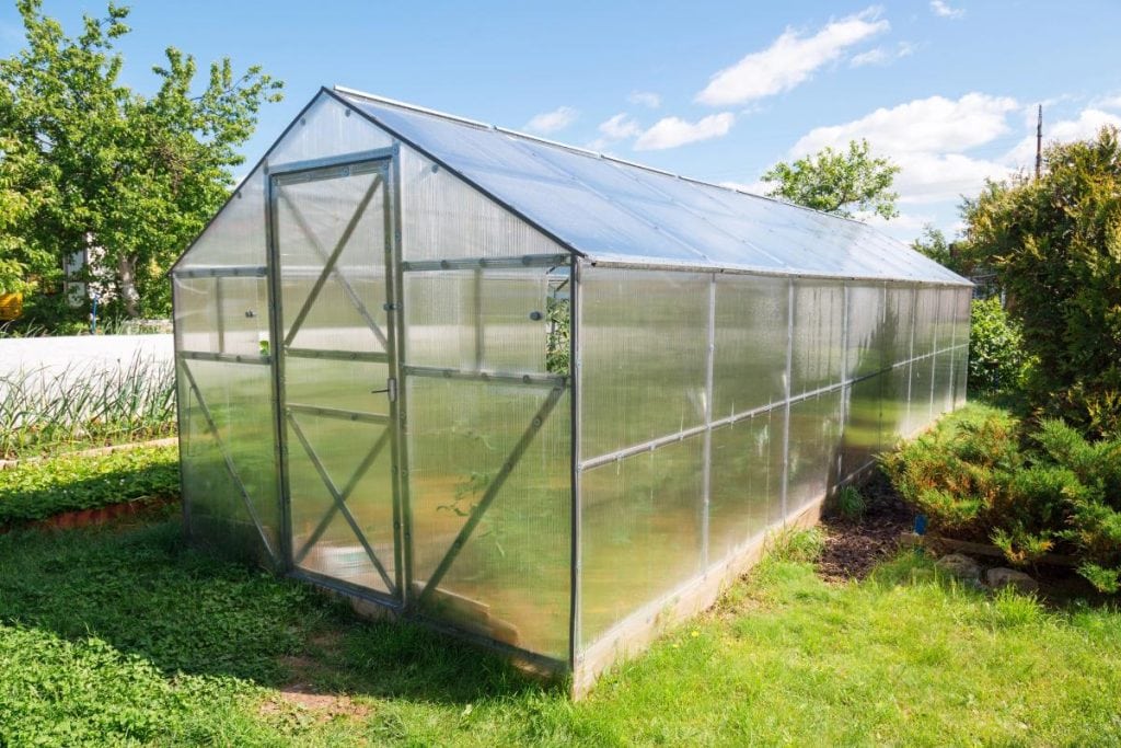 a greenhouse made of polycarbonate sheets