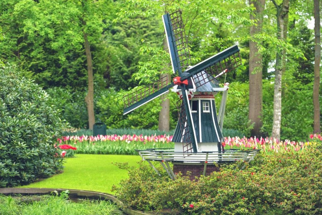 windmill in a flower garden