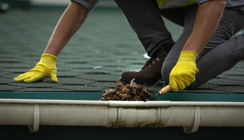 worker cleaning leaves and debris from gutter