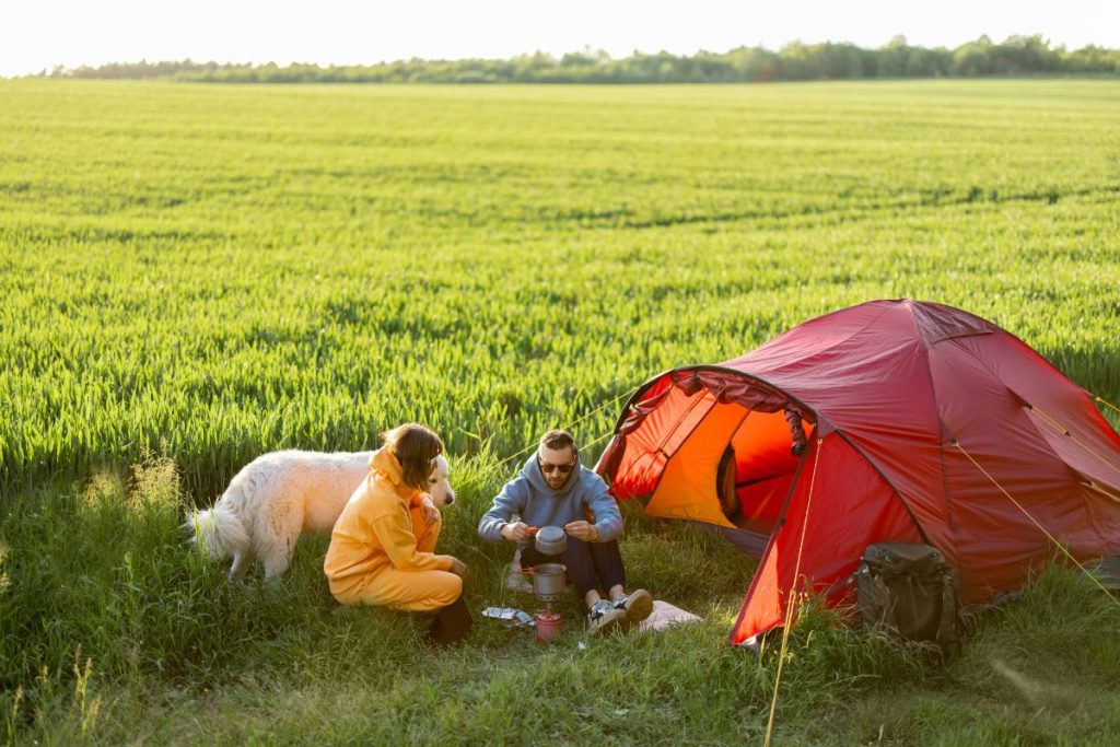 couple camping in a field with large white dog