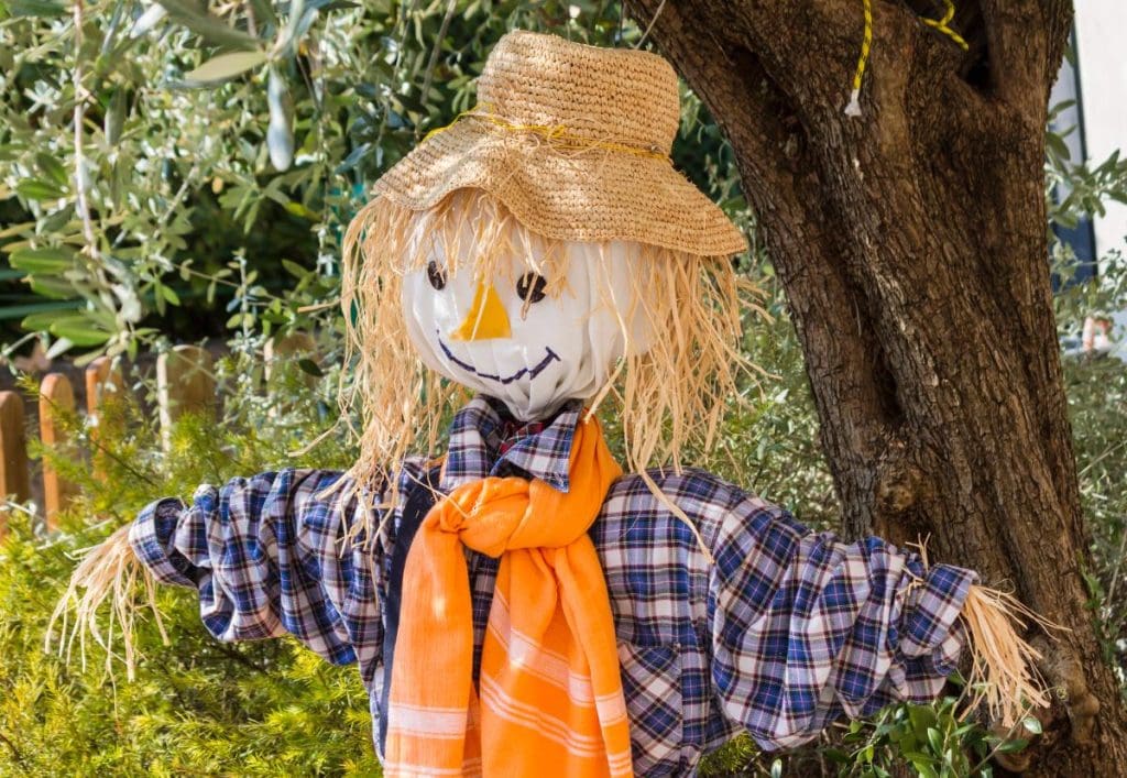 cute scarecrow in the yard