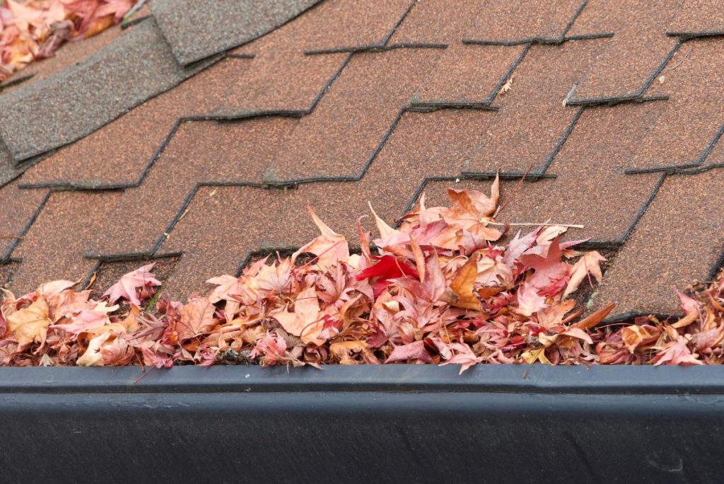 leaves in gutter