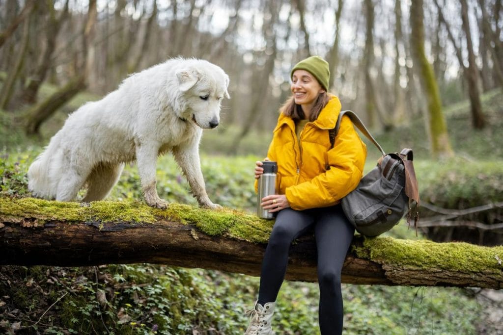 woman in the woods with large white dog