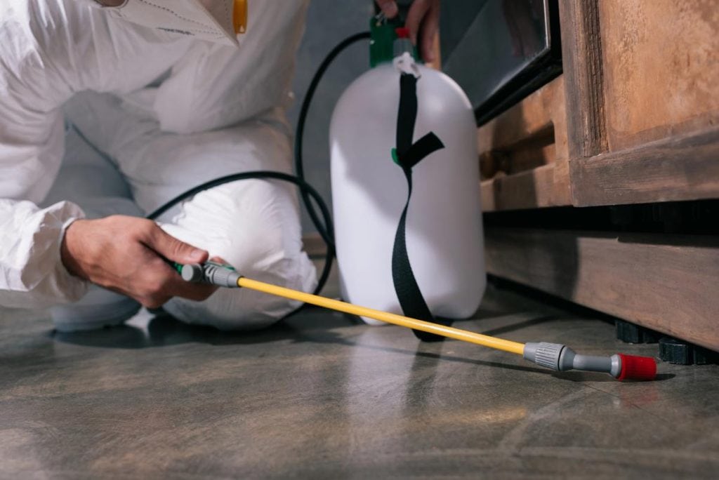 exterminator spraying under furniture