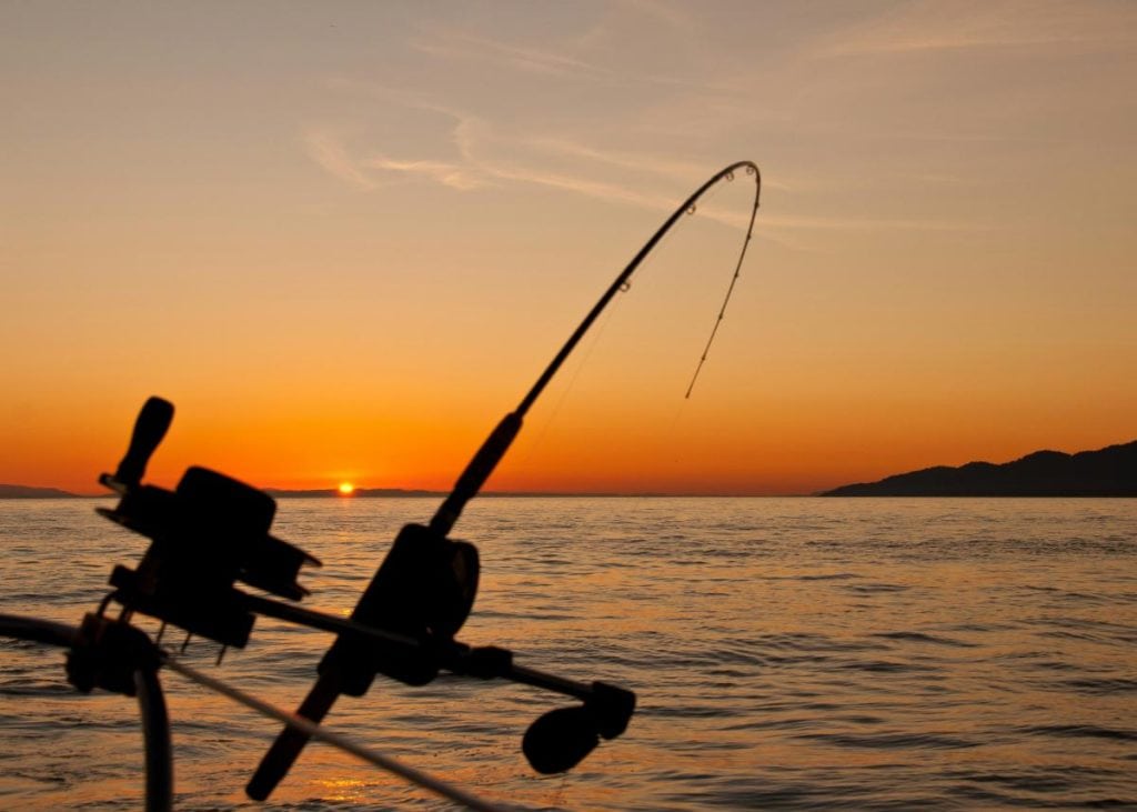 fishing at sunset