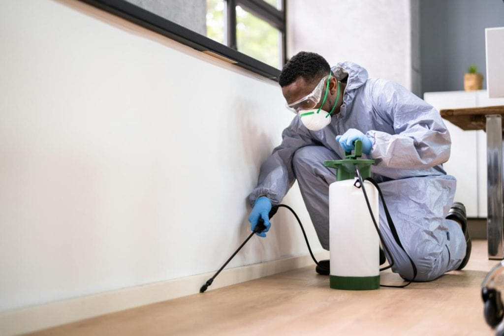 exterminator spraying near baseboards