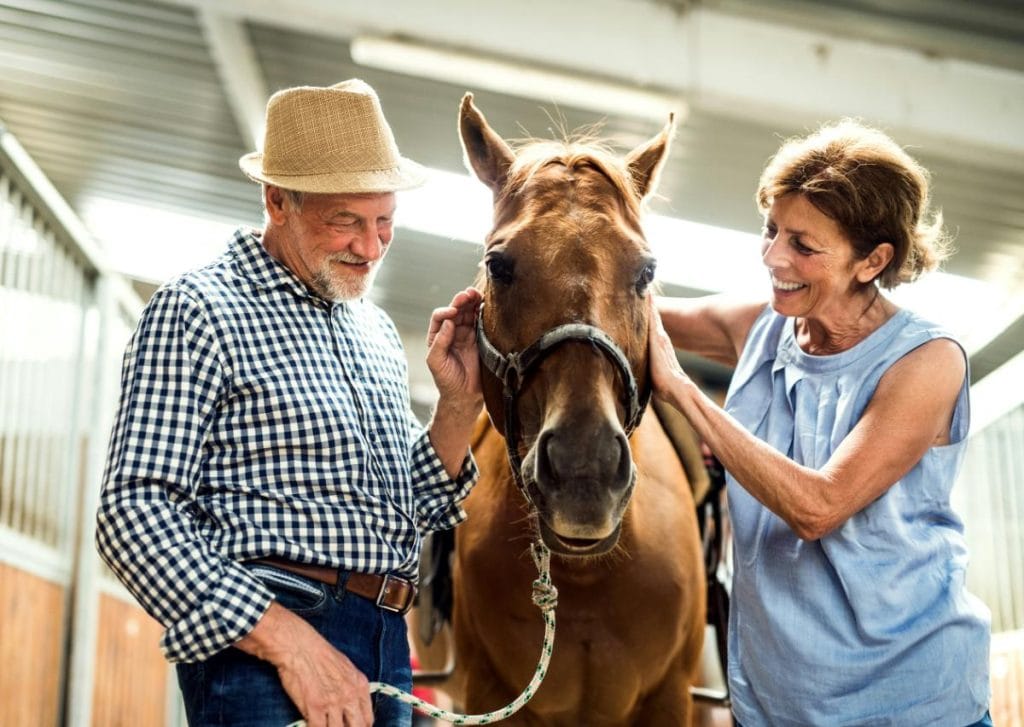 older couple petting a brown horse