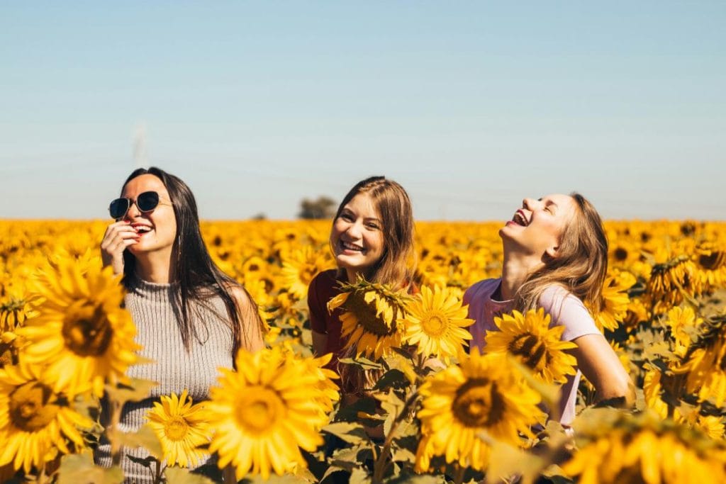 3 women in a field of sunflowers