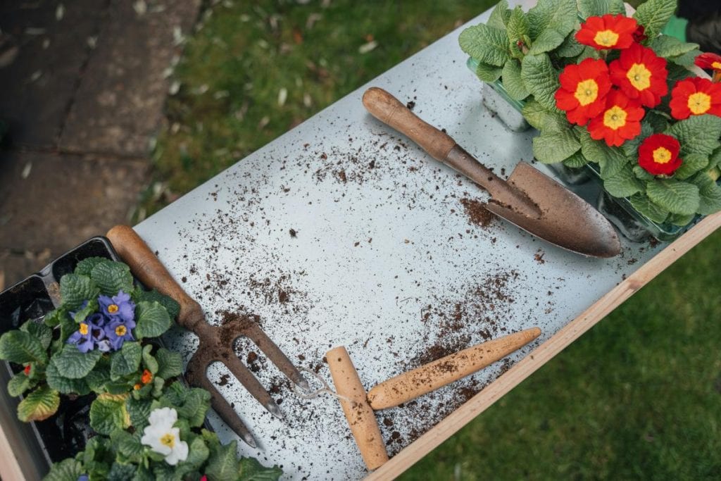 flowers on a table with gardening tools