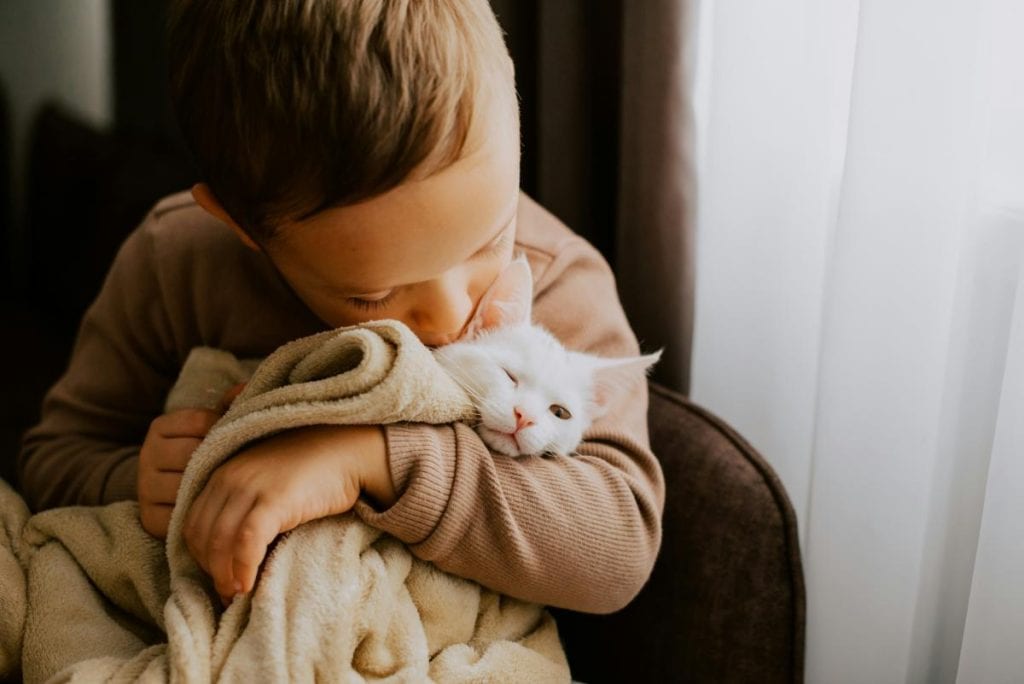 little boy hugging his cat