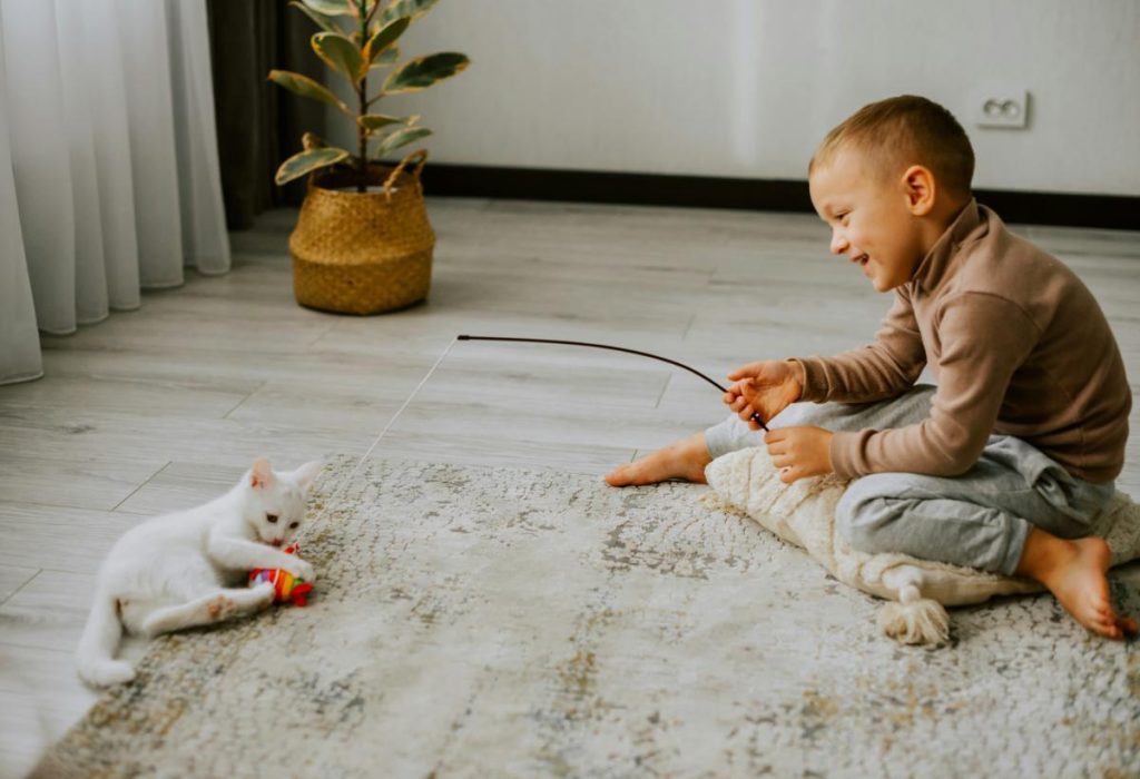 little boy using a toy on a string while playing with cat