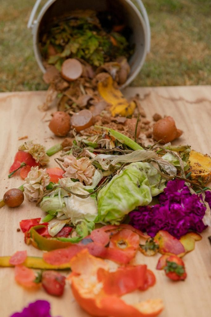 organic waste spilling out of a bucket