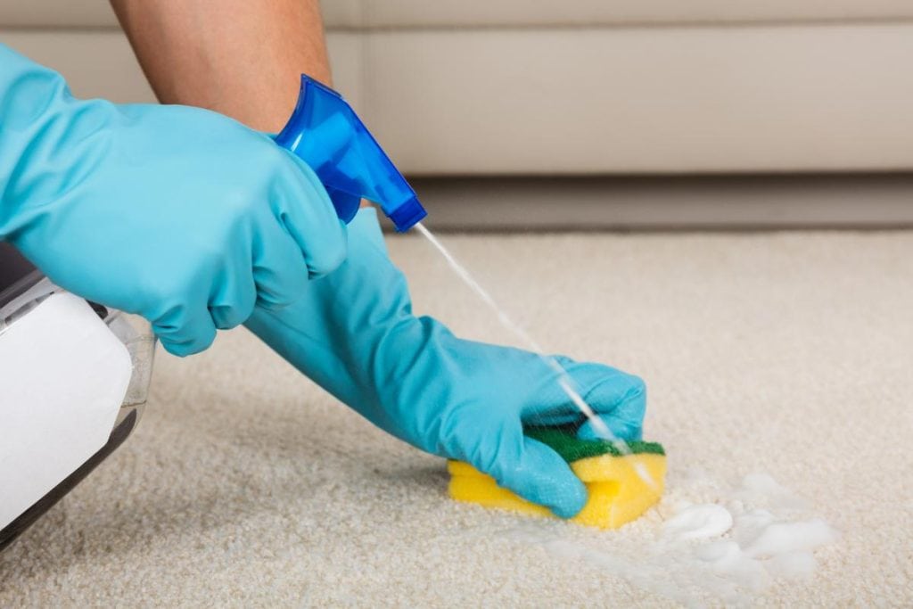 person spot cleaning a carpet with a spray bottle of solution and a sponge