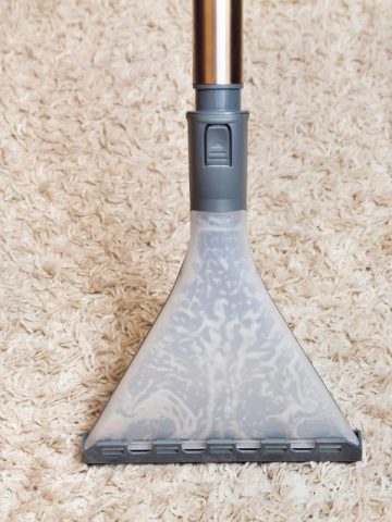 shampooing a carpet