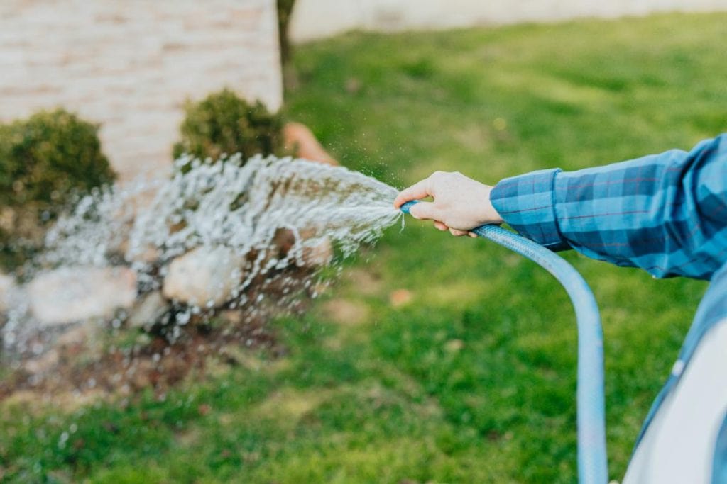 Person watering grass and shrubs with a garden hose—smart, deep watering helps your yard thrive without wasting water.