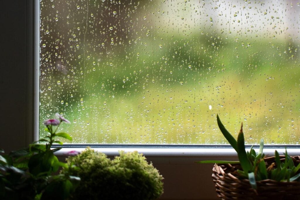 view looking out of a rainy window