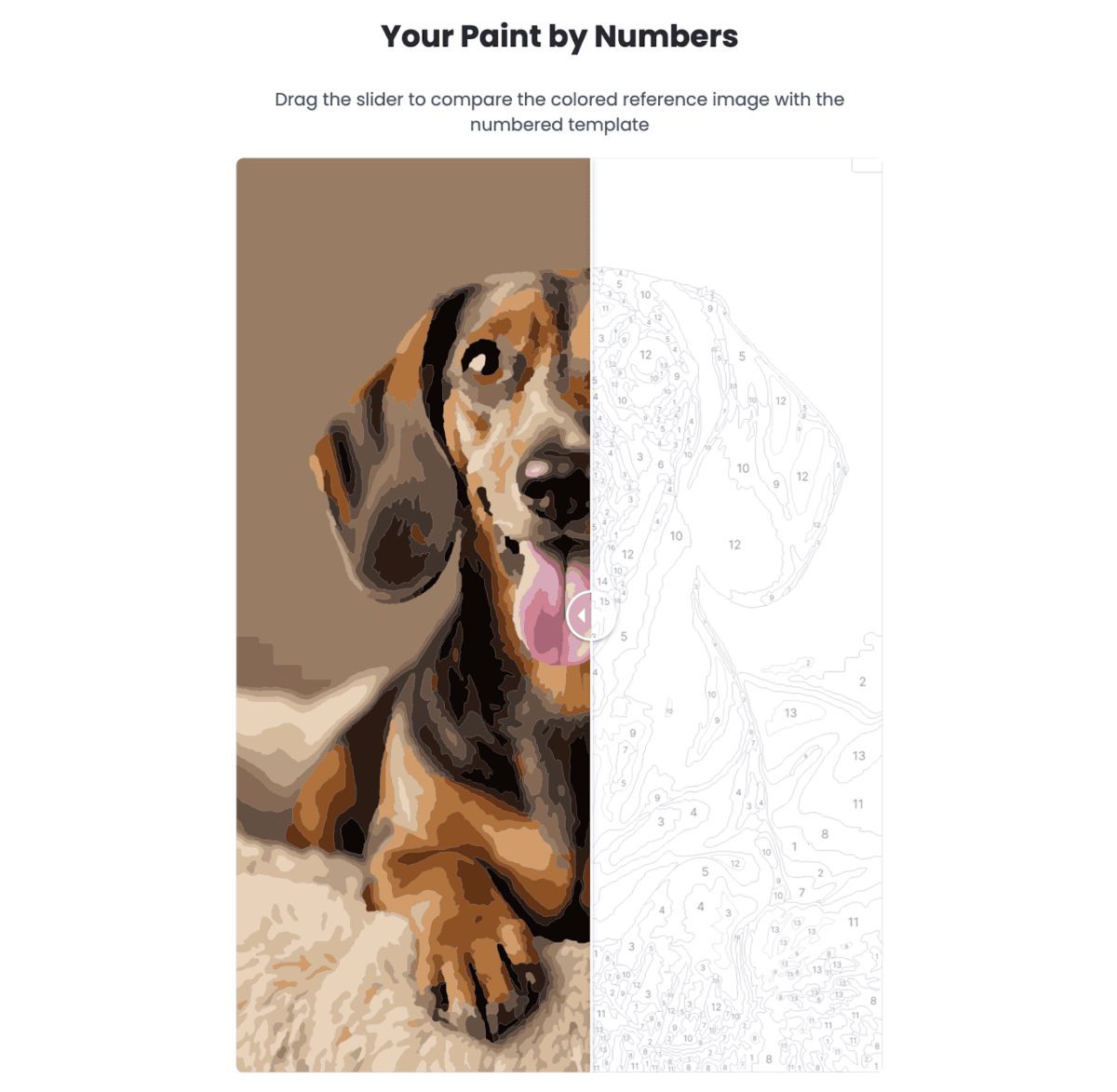 How to Generate Paint by Numbers Free Online