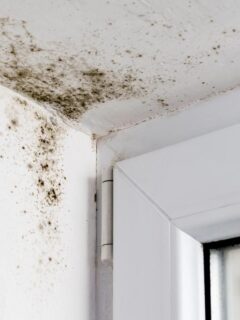 Black mold infestation on a ceiling corner above a door frame, caused by moisture buildup and poor ventilation.