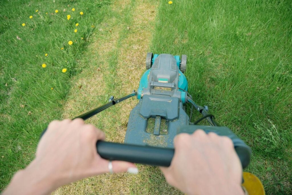 Point-of-view of mowing a green lawn, showing hands on the mower handle and a fresh-cut path.