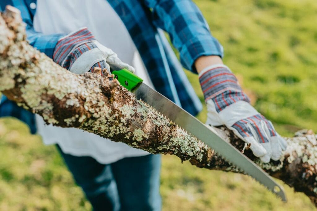 Person in work gloves and plaid shirt cuts through a thick tree branch with a handsaw outdoors.