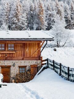 A rustic stone-and-wood cabin surrounded by snow-covered trees, with stacked firewood by the door and a fresh blanket of snow on the ground.
