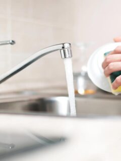 Close-up of hands washing dishes in a sink, demonstrating a simple daily habit that helps keep pests out of the kitchen.