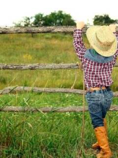 Little boy in a cowboy hat, plaid shirt, jeans, and stylish Roper boots climbing a rustic wooden fence in a grassy field.