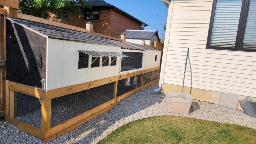Large suburban backyard chicken coop with secure wire fencing and shaded windows, designed for ventilation and predator protection.