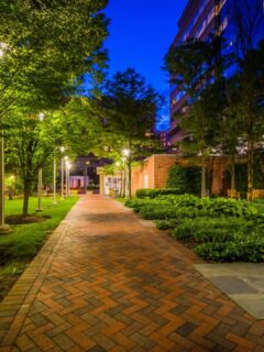 Peaceful brick walkway through a landscaped garden courtyard in Bethesda, Maryland, surrounded by trees, greenery, benches, and softly lit office buildings at dusk.