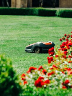 Automated robot lawn mower trimming a lush green lawn beside vibrant red flowers in a landscaped garden, demonstrating precise and hands-free mowing.