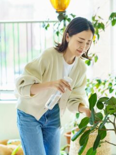 Person caring for indoor plants near a window, promoting clean air and a healthy home environment.