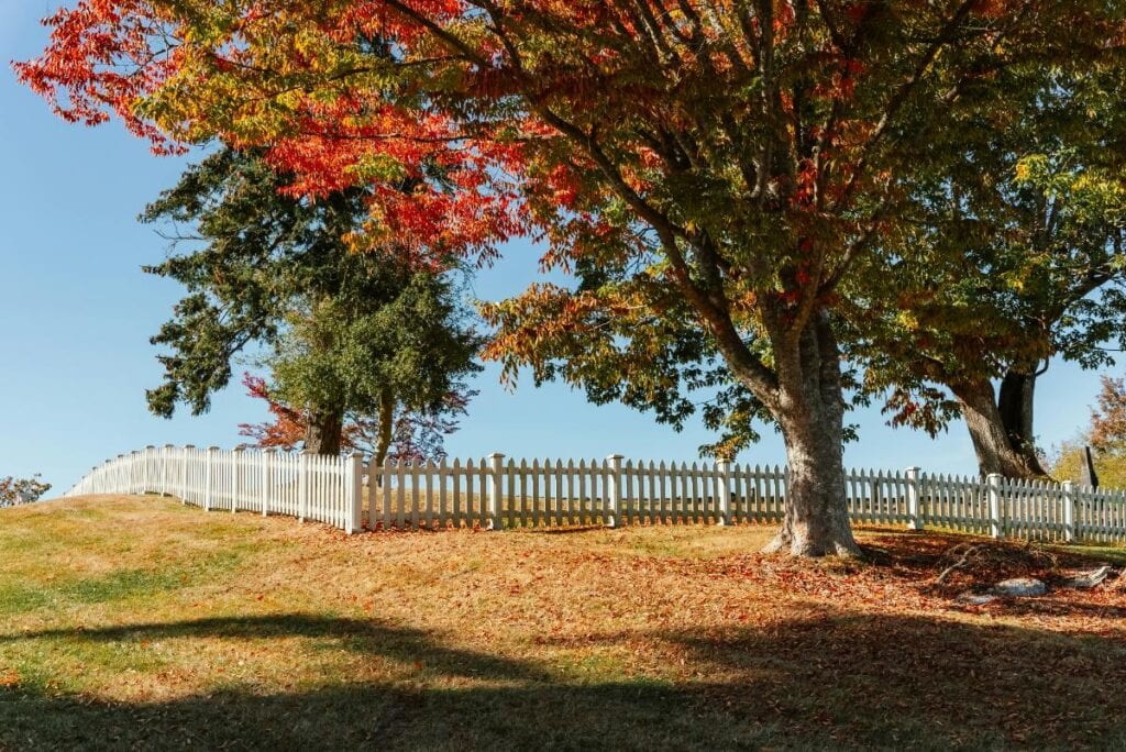 A white picket fence runs along a gently sloped yard with colorful autumn trees, creating a safe and scenic outdoor area for pets and families.