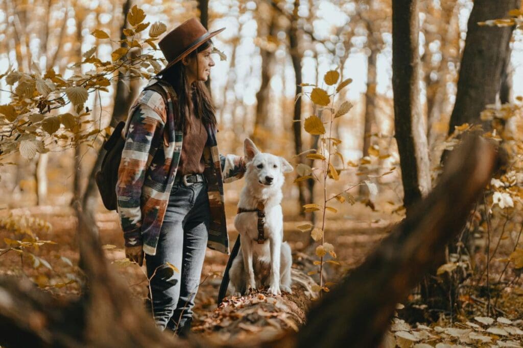 A woman in a patterned jacket and brown hat walks through an autumn forest with her white dog, who is sitting calmly on a fallen log.