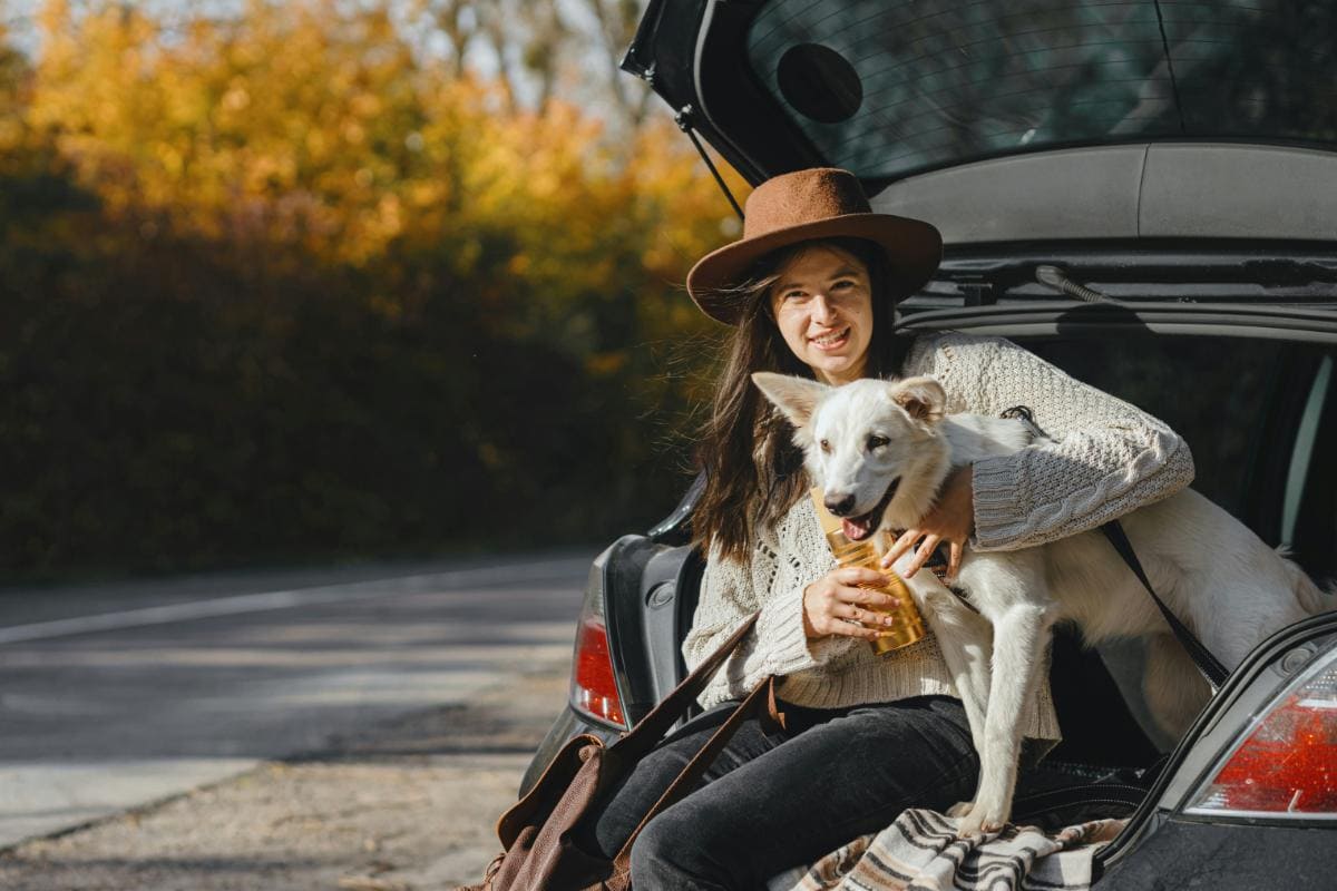 Photo inspiration: Visual Reference: How Can You Keep Your Dog Calm During Long Car