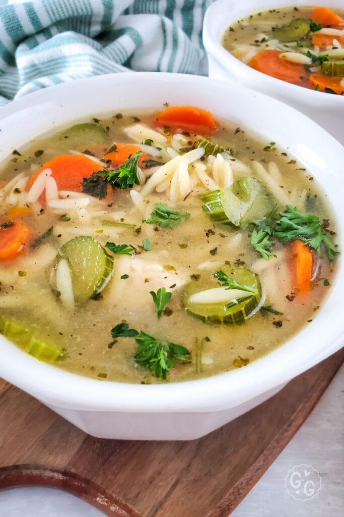 Close-up of chicken orzo soup showing tender orzo pasta, sliced carrots, celery, and fresh herbs in a light chicken broth.