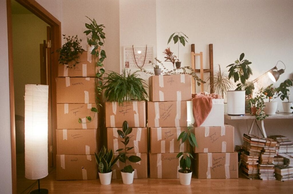 a room full of moving boxes, plants, and books