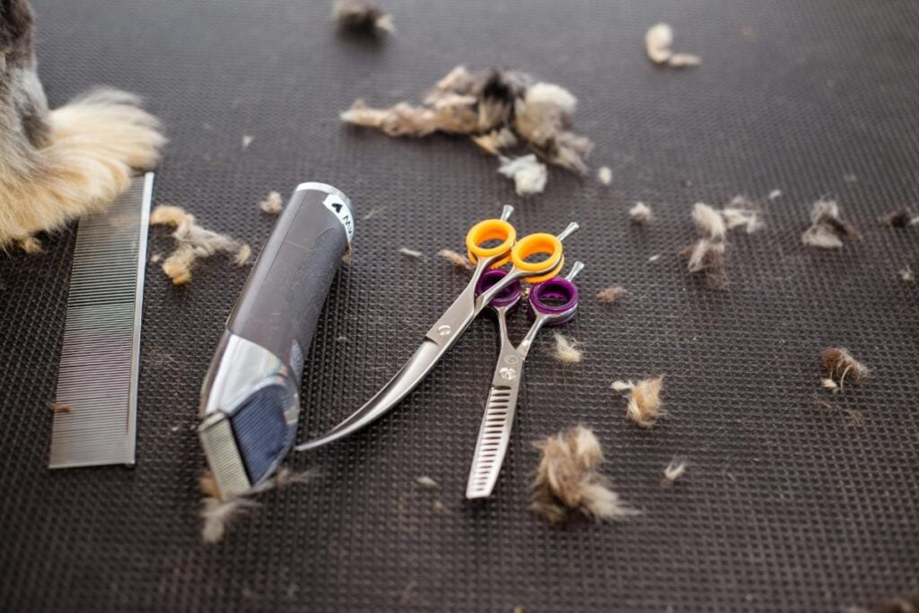 a set of clippers and some scissors used for grooming dogs