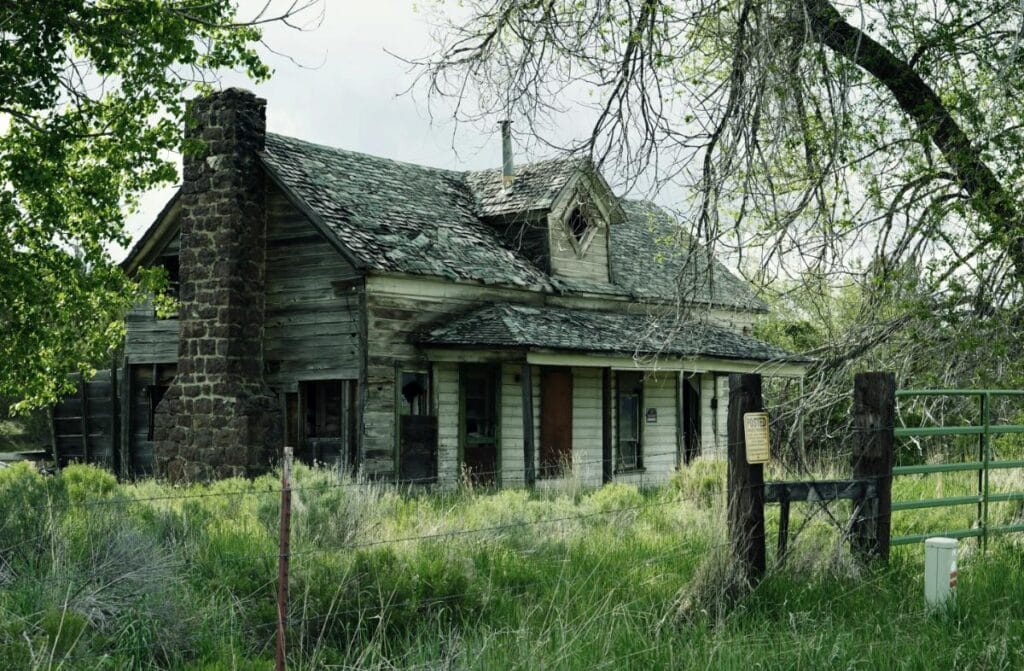 Dilapidated house surrounded by tall grass and trees, illustrating the challenges of clearing out and selling a neglected property.