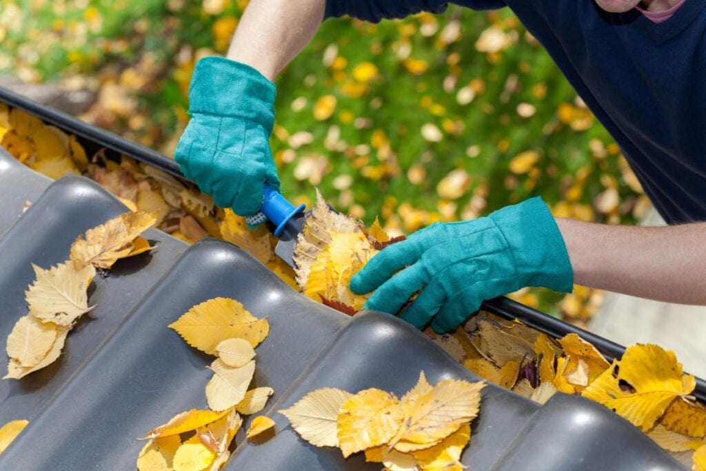 Worker clearing leaves from a roof gutter as part of seasonal property maintenance.